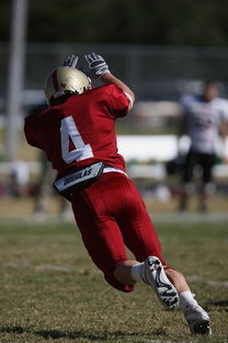 AC Milan Sports-德甲球队休赛期集训方式对开局表现影响，德甲青训规则